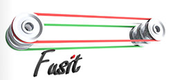 Fusit